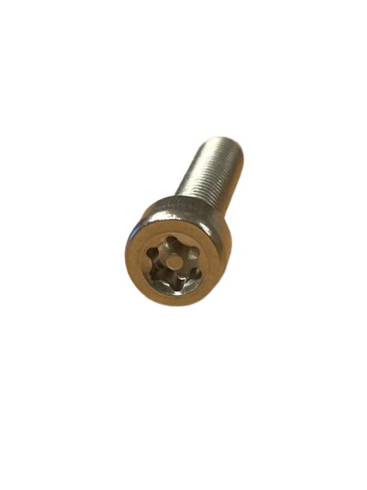 Saddle clamp bolt