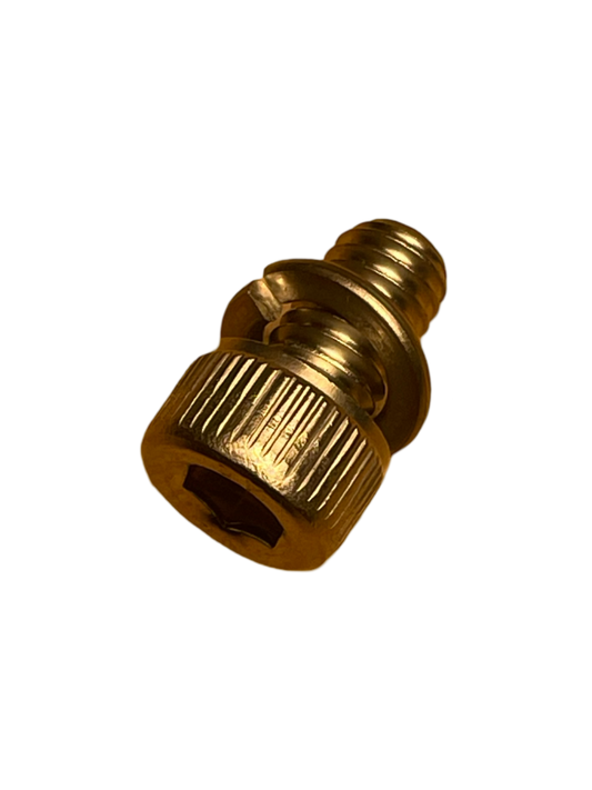 E-shifter screw with ring